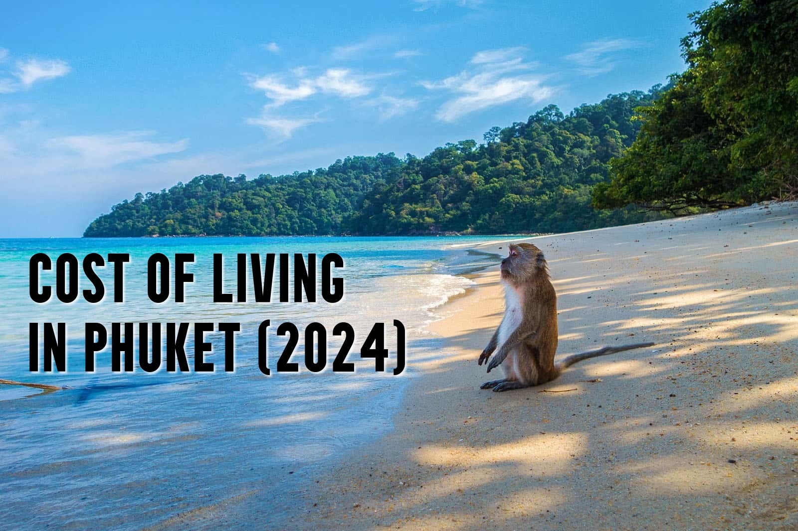 cost of living in phuket 2024